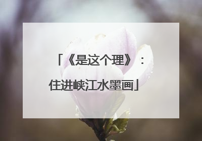 《是这个理》：住进峡江水墨画