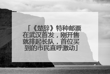 《楚辞》特种邮票在武汉首发，刚开售就排起长队，首位买到的市民直呼激动