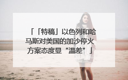 「特稿」以色列和哈马斯对美国的加沙停火方案态度显“温差”