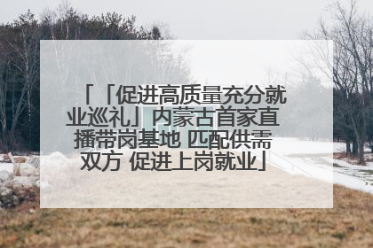「促进高质量充分就业巡礼」内蒙古首家直播带岗基地 匹配供需双方 促进上岗就业