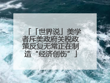 「世界说」美学者斥美政府关税政策反复无常正在制造“经济创伤”