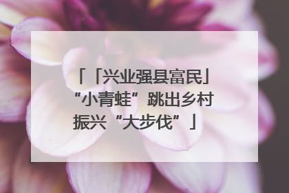 「兴业强县富民」“小青蛙”跳出乡村振兴“大步伐”