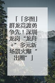 「多图」群龙竞渡勇争先！深圳龙岗“龙舟+”多元新场景火爆“出圈”