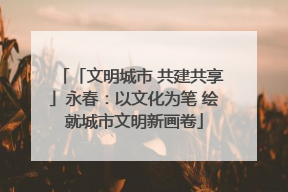 「文明城市 共建共享」永春：以文化为笔 绘就城市文明新画卷