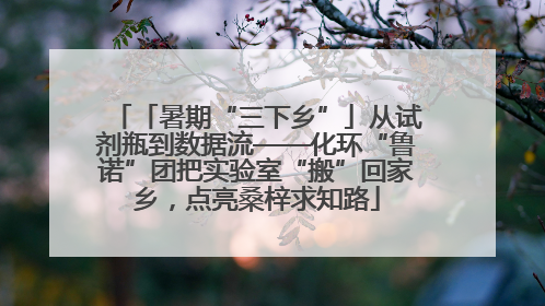 「暑期“三下乡”」从试剂瓶到数据流——化环“鲁诺”团把实验室“搬”回家乡，点亮桑梓求知路