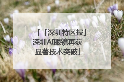 「深圳特区报」深圳AI眼镜再获显著技术突破