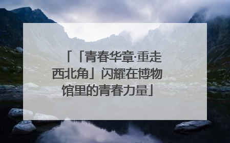 「青春华章·重走西北角」闪耀在博物馆里的青春力量
