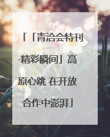 「青洽会特刊·精彩瞬间」高原心跳 在开放合作中澎湃