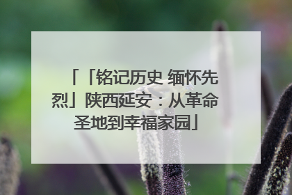 「铭记历史 缅怀先烈」陕西延安：从革命圣地到幸福家园