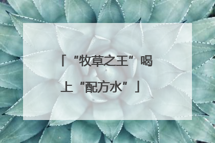 “牧草之王”喝上“配方水”
