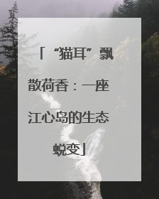 “猫耳”飘散荷香：一座江心岛的生态蜕变