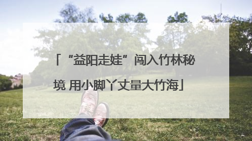 “益阳走娃”闯入竹林秘境 用小脚丫丈量大竹海