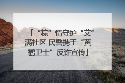 “粽”情守护“艾”满社区 民警携手“黄鹤卫士”反诈宣传