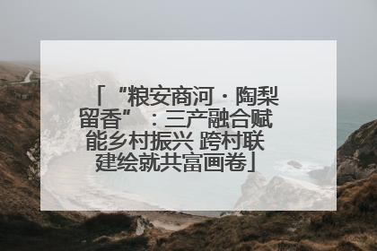 “粮安商河・陶梨留香”：三产融合赋能乡村振兴 跨村联建绘就共富画卷