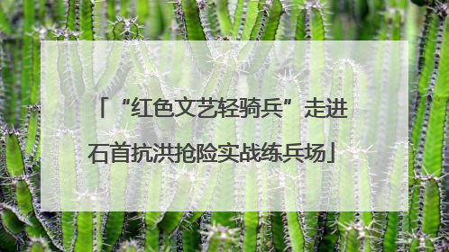 “红色文艺轻骑兵”走进石首抗洪抢险实战练兵场