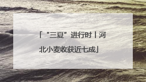 “三夏”进行时丨河北小麦收获近七成