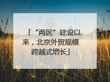 “两区”建设以来，北京外贸规模跨越式增长