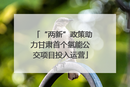 “两新”政策助力甘肃首个氢能公交项目投入运营