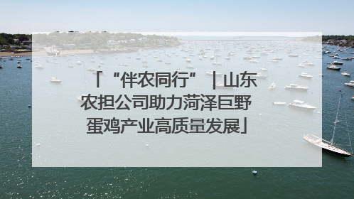 “伴农同行”｜山东农担公司助力菏泽巨野蛋鸡产业高质量发展