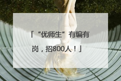 “优师生”有编有岗，招800人！