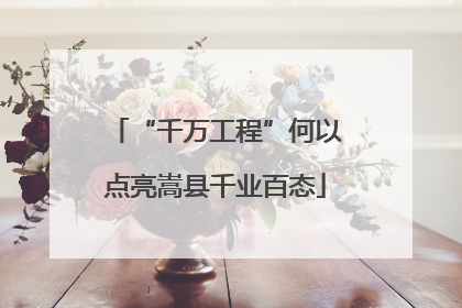 “千万工程”何以点亮嵩县千业百态