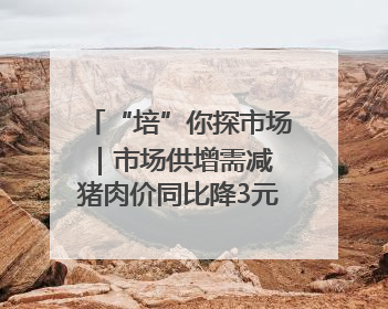“培”你探市场｜市场供增需减 猪肉价同比降3元 未来40天便宜猪肉敞开吃