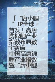 “唐小鲤”IP全球首发！高唐携锦鲤产业指数布局数字赛道——中国高唐锦鲤产业指数暨“唐小鲤”IP全球首发仪式在杭州举行