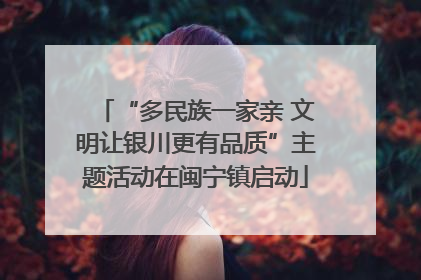 “多民族一家亲 文明让银川更有品质”主题活动在闽宁镇启动