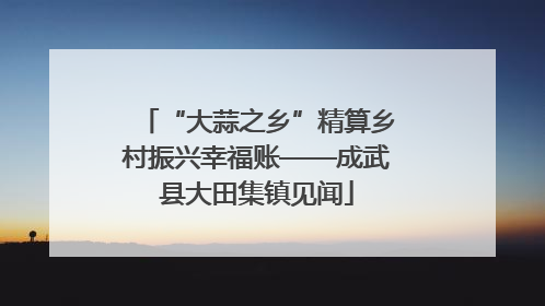 “大蒜之乡”精算乡村振兴幸福账——成武县大田集镇见闻
