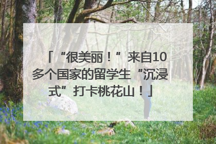 “很美丽！”来自10多个国家的留学生“沉浸式”打卡桃花山！