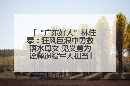 “广东好人”林佳泰：狂风巨浪中勇救落水母女 见义勇为诠释退役军人担当