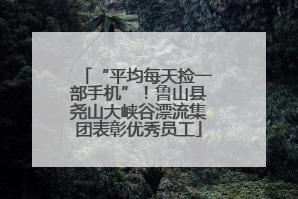 “平均每天捡一部手机”！鲁山县尧山大峡谷漂流集团表彰优秀员工