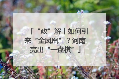 “政”解丨如何引来“金凤凰”？河南亮出“一盘棋”