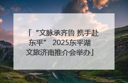 “文脉承齐鲁 携手赴东平” 2025东平湖文旅济南推介会举办