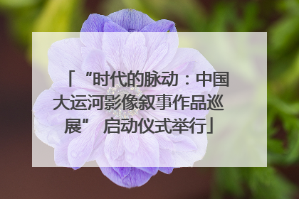 “时代的脉动：中国大运河影像叙事作品巡展” 启动仪式举行
