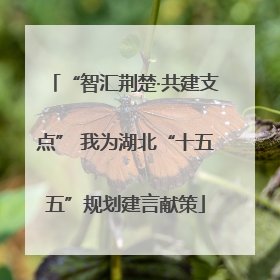 “智汇荆楚·共建支点” 我为湖北“十五五”规划建言献策