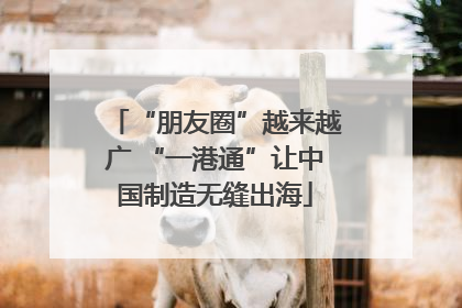 “朋友圈”越来越广 “一港通”让中国制造无缝出海