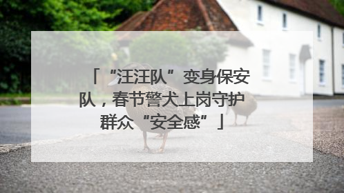 “汪汪队”变身保安队，春节警犬上岗守护群众“安全感”