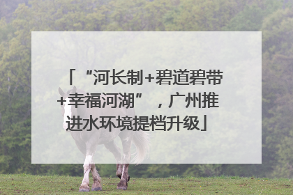 “河长制+碧道碧带+幸福河湖”，广州推进水环境提档升级