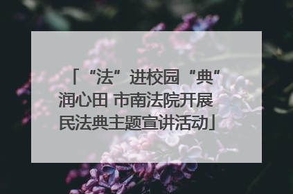 “法”进校园“典”润心田 市南法院开展民法典主题宣讲活动