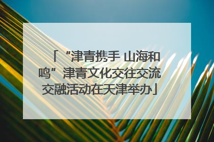 “津青携手 山海和鸣”津青文化交往交流交融活动在天津举办