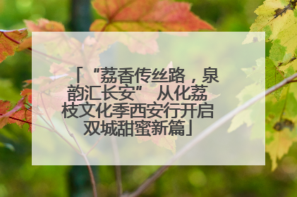 “荔香传丝路，泉韵汇长安” 从化荔枝文化季西安行开启双城甜蜜新篇
