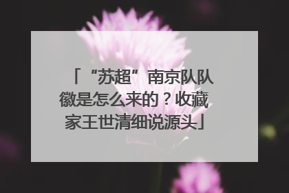 “苏超”南京队队徽是怎么来的？收藏家王世清细说源头