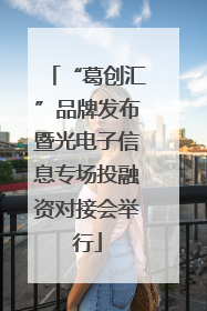 “葛创汇”品牌发布暨光电子信息专场投融资对接会举行