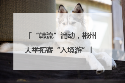 “韩流”涌动，郴州大举拓客“入境游”