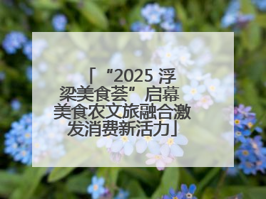 “2025 浮梁美食荟”启幕 美食农文旅融合激发消费新活力