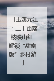 玉溪元江：三千亩荔枝映山红 解锁“甜蜜版”乡村游