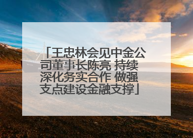 王忠林会见中金公司董事长陈亮 持续深化务实合作 做强支点建设金融支撑