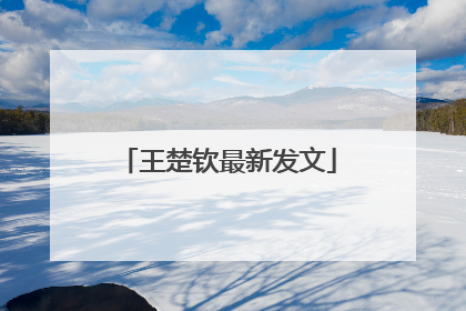 王楚钦最新发文