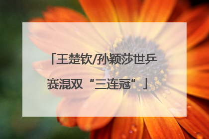 王楚钦/孙颖莎世乒赛混双“三连冠”